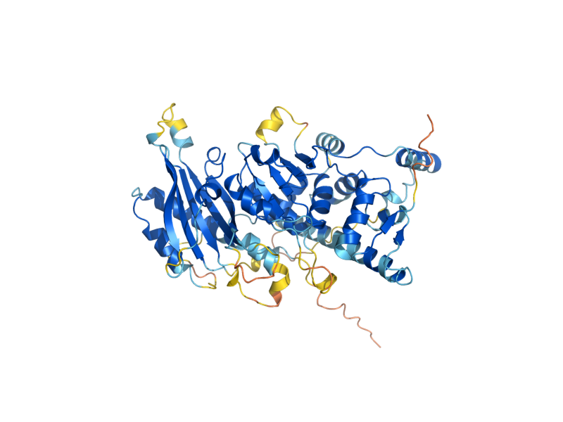 AlphaFold predicted structure of ANR2