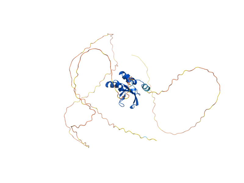 AlphaFold predicted structure of PHD1