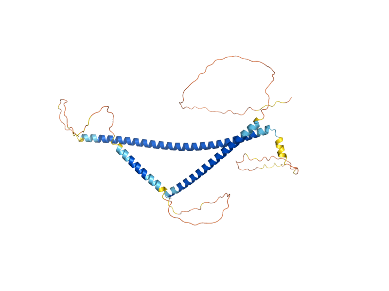 AlphaFold predicted structure of SPC42