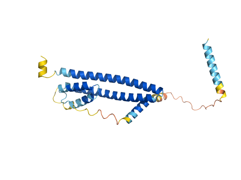 AlphaFold predicted structure of VPS24