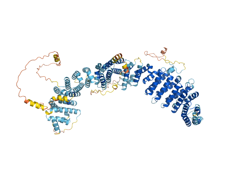 AlphaFold predicted structure of TTI1