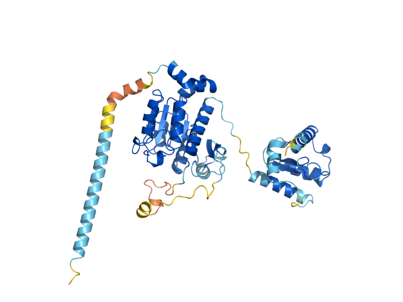 AlphaFold predicted structure of TCD2