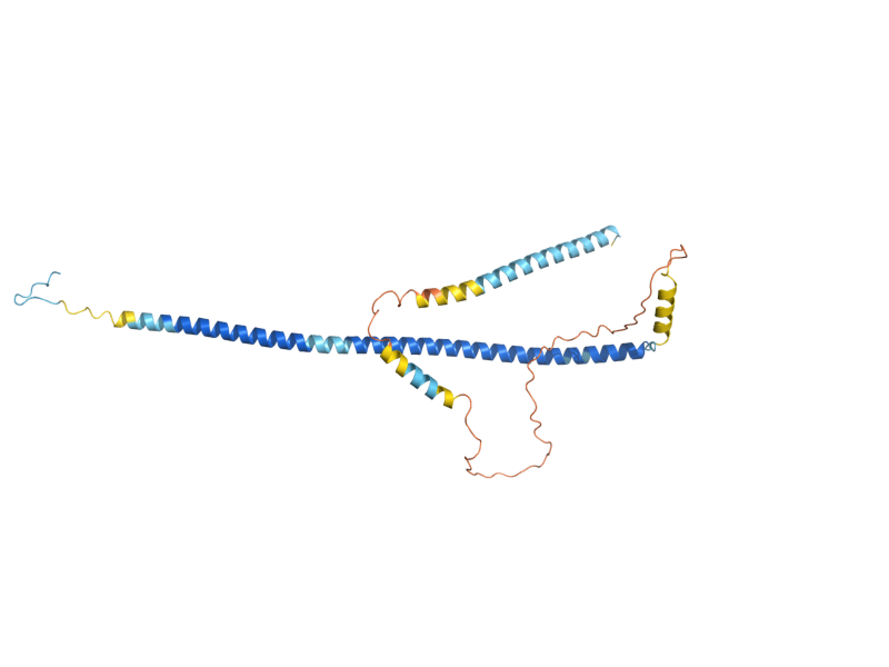 AlphaFold predicted structure of SKA1