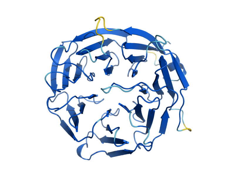 AlphaFold predicted structure of SWD2