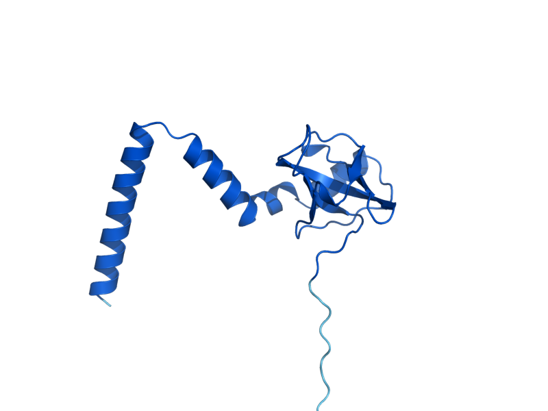 AlphaFold predicted structure of RPL14A