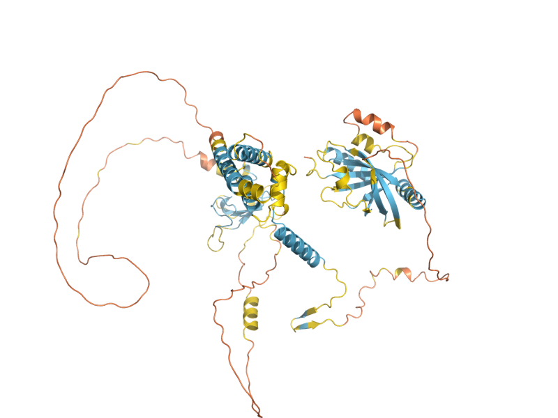 AlphaFold predicted structure of BYE1
