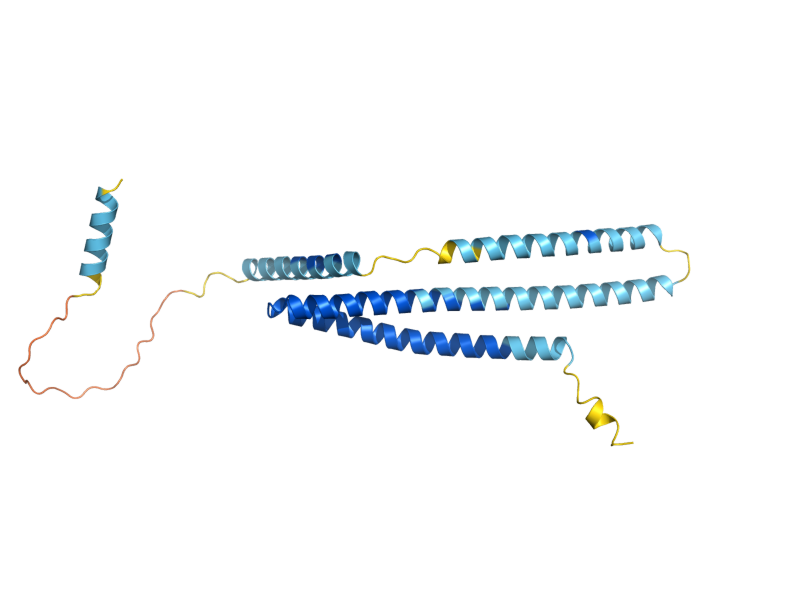 AlphaFold predicted structure of DID4