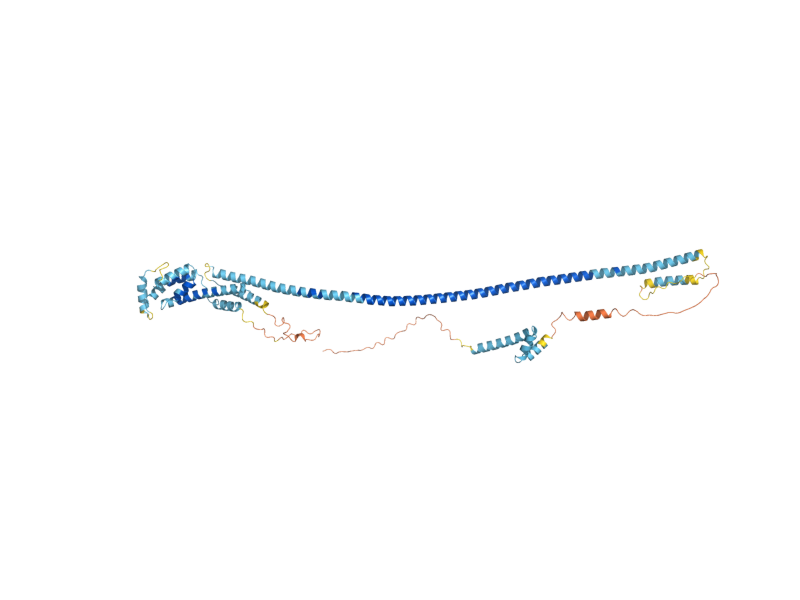 AlphaFold predicted structure of MIC60