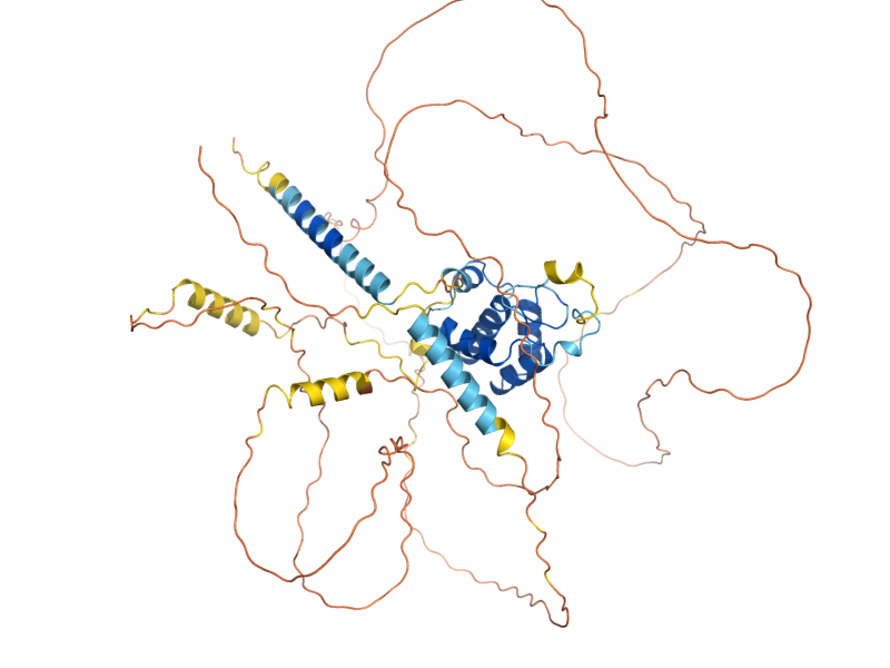 AlphaFold predicted structure of IRS4