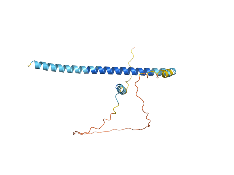 AlphaFold predicted structure of VPS51