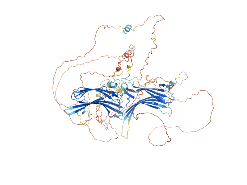 AlphaFold predicted structure of ALY1