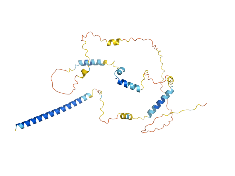 AlphaFold predicted structure of NTR2