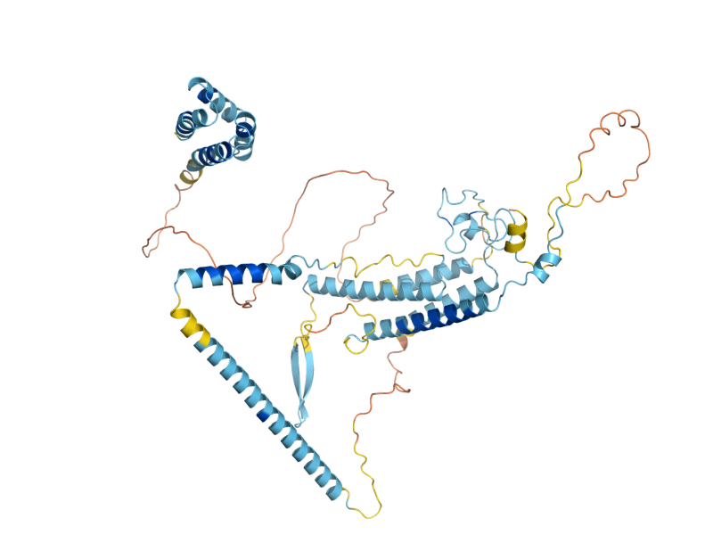AlphaFold predicted structure of RQT4