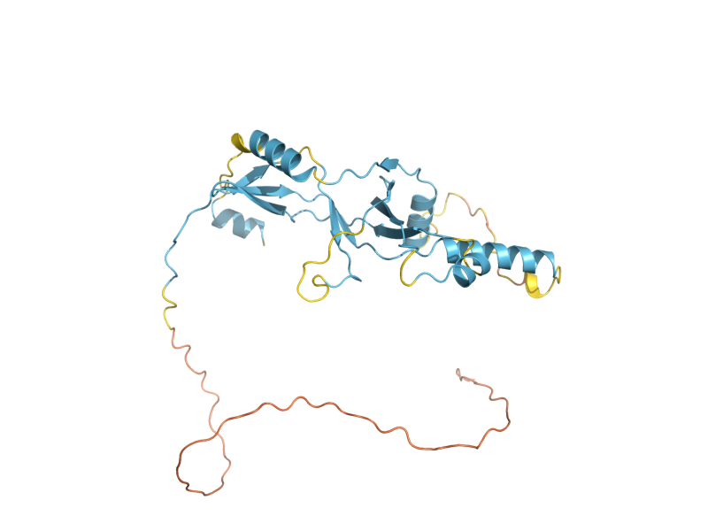 AlphaFold predicted structure of RPC37
