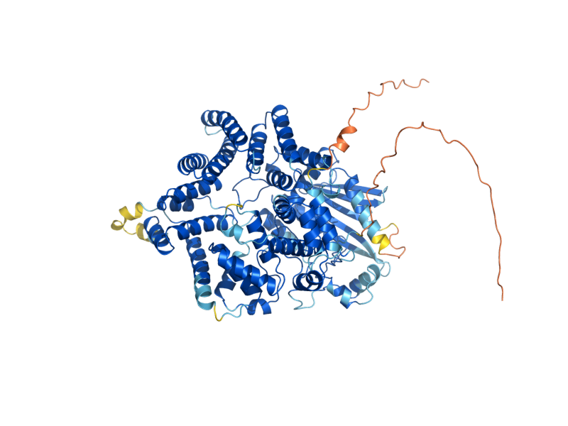 AlphaFold predicted structure of BCH2