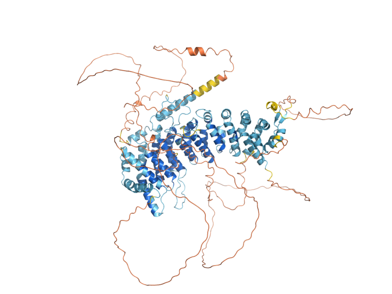 AlphaFold predicted structure of SAP190