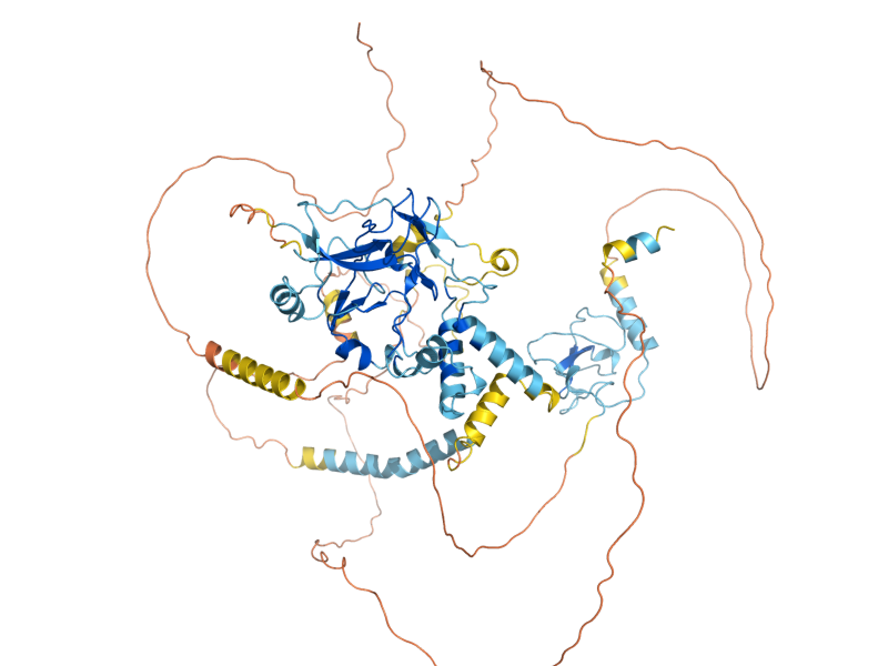 AlphaFold predicted structure of SET3