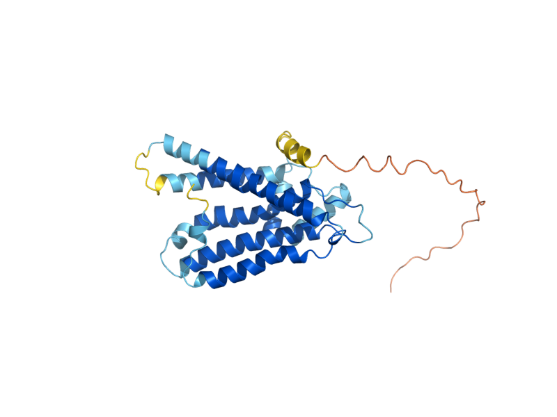 AlphaFold predicted structure of GMH1
