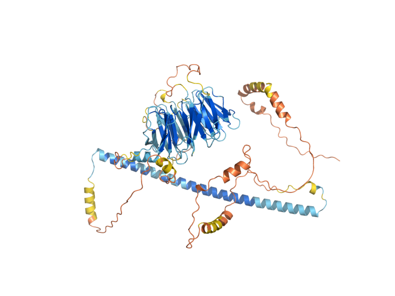 AlphaFold predicted structure of CAF4