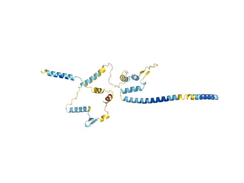 AlphaFold predicted structure of SPC34