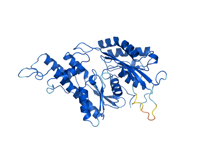 AlphaFold predicted structure of KAE1