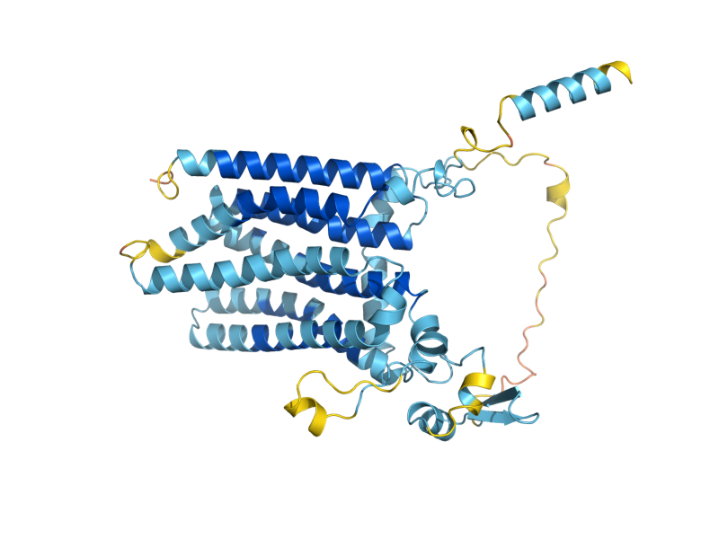 AlphaFold predicted structure of HFL1