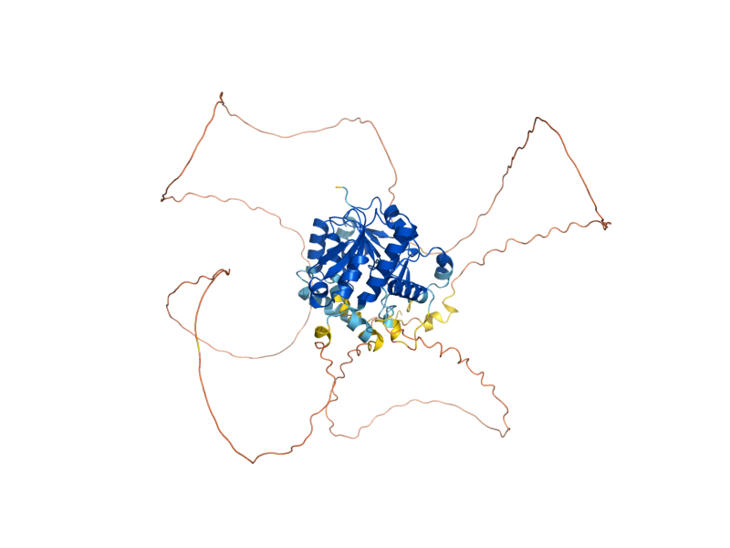 AlphaFold predicted structure of GLG1