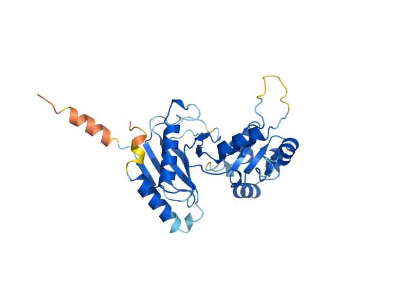 AlphaFold predicted structure of UTP30