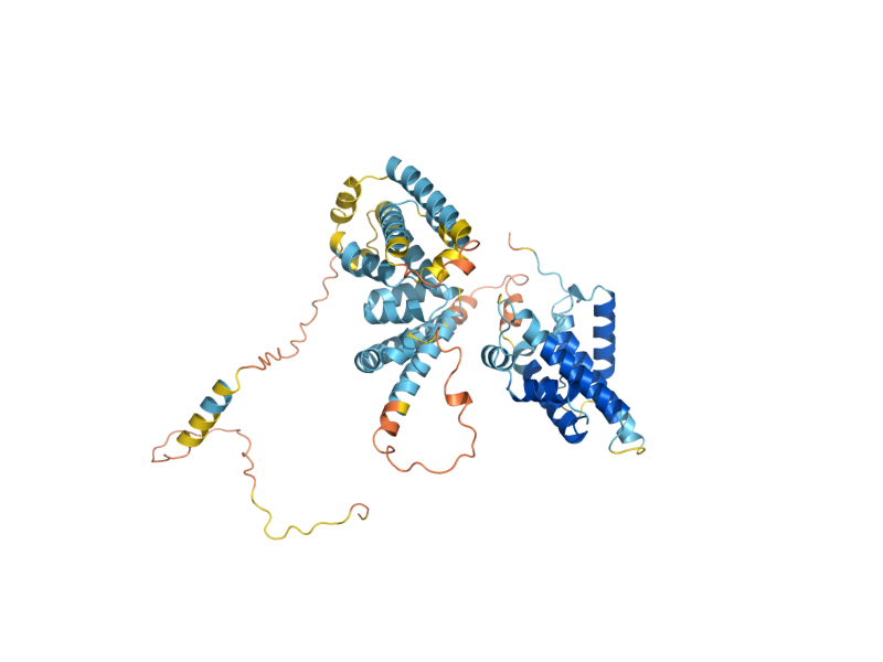 AlphaFold predicted structure of LAS1