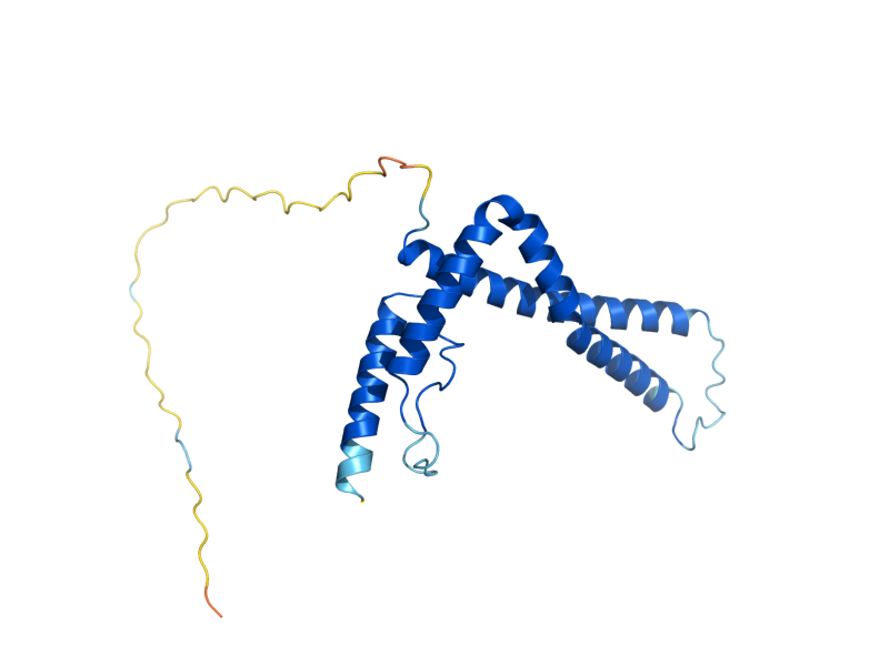 AlphaFold predicted structure of PAM17