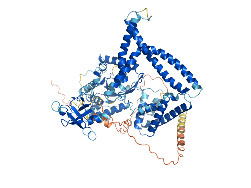AlphaFold predicted structure of GPT2
