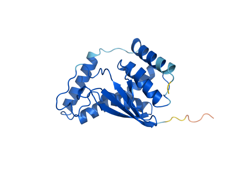 AlphaFold predicted structure of BET3