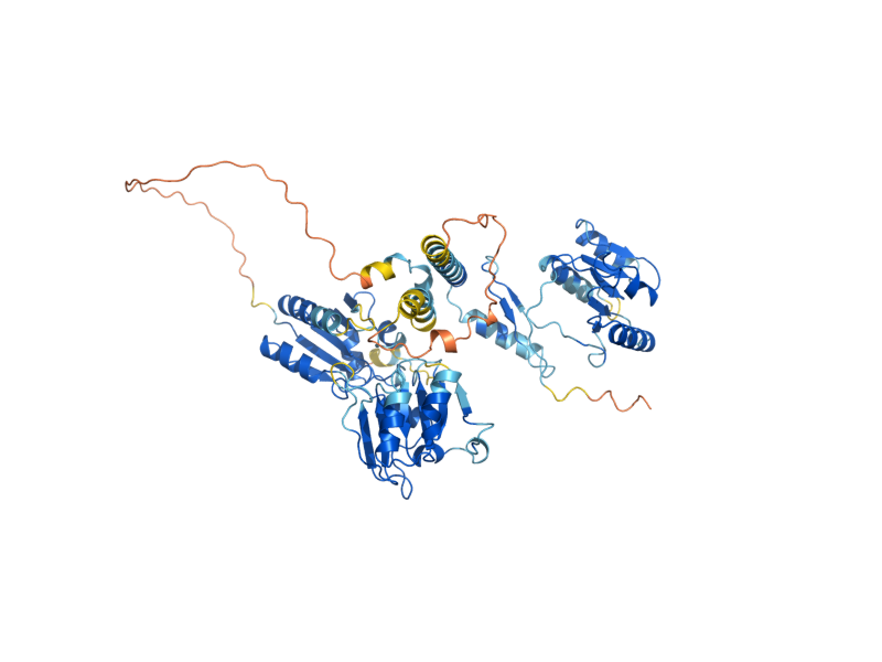 AlphaFold predicted structure of MET1