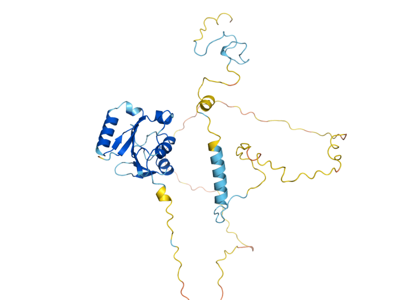 AlphaFold predicted structure of DRE2