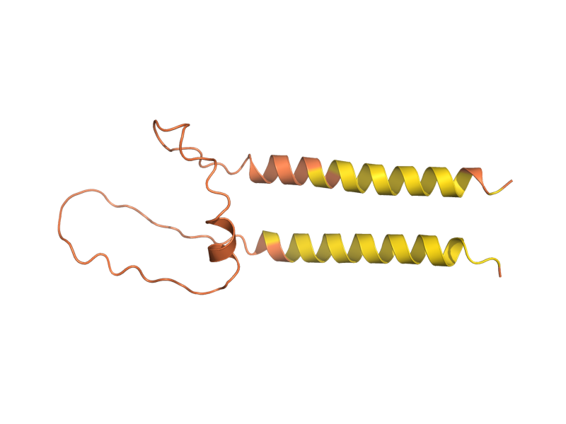 AlphaFold predicted structure of YKR073C