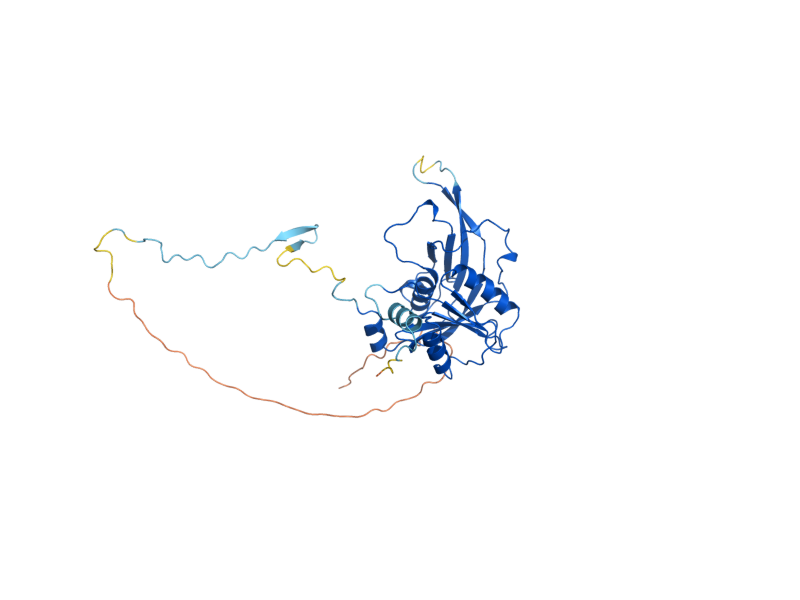AlphaFold predicted structure of RPF2