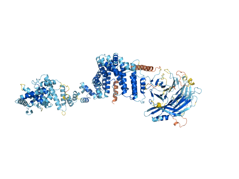 AlphaFold predicted structure of NUP133