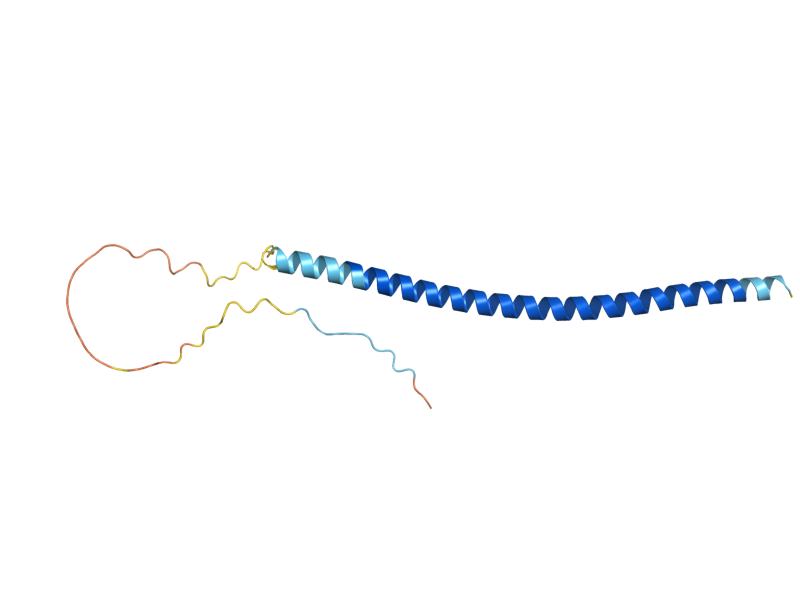 AlphaFold predicted structure of DAD2