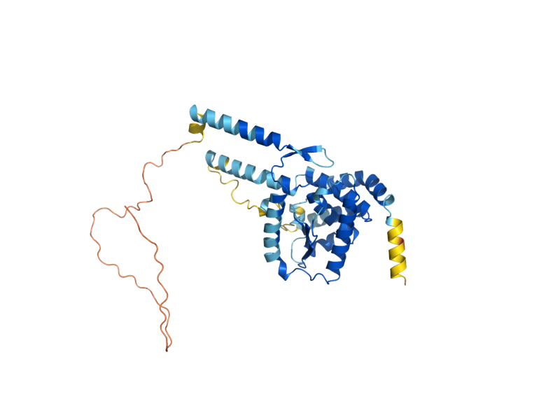 AlphaFold predicted structure of OMA1