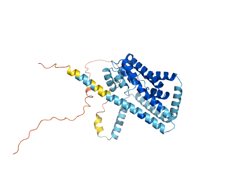 AlphaFold predicted structure of TVP38