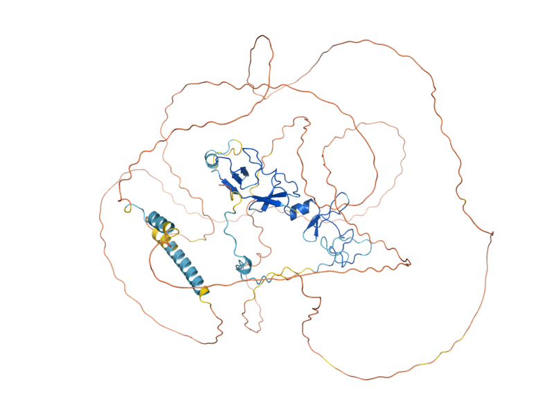 AlphaFold predicted structure of PXL1