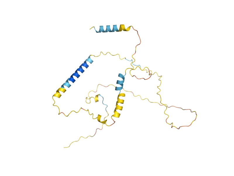 AlphaFold predicted structure of SRL3