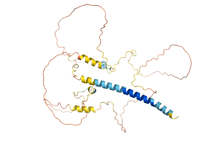 AlphaFold predicted structure of SKG1