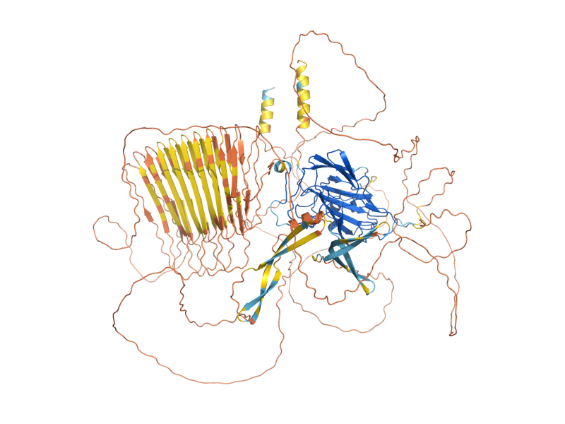 AlphaFold predicted structure of FLO10