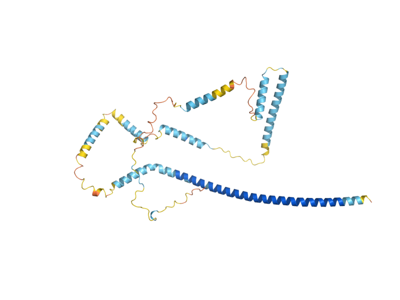 AlphaFold predicted structure of JNM1