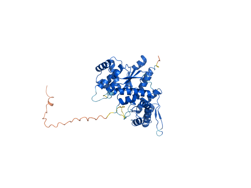 AlphaFold predicted structure of TYS1