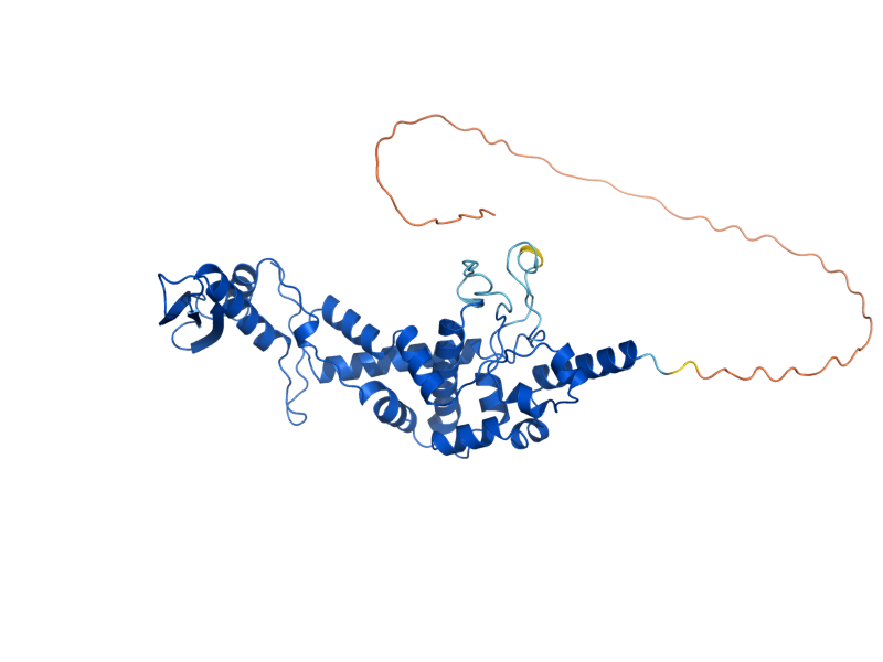 AlphaFold predicted structure of MRPL3