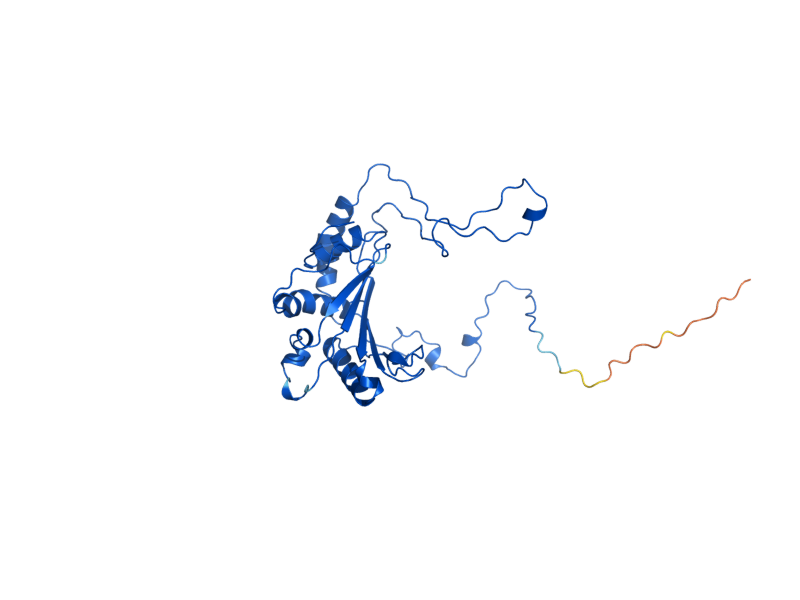 AlphaFold predicted structure of MRPL7