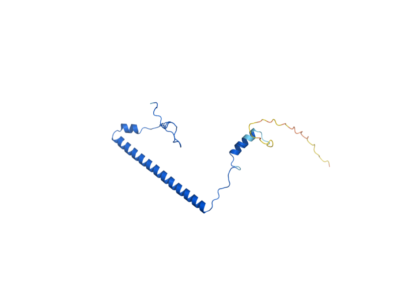 AlphaFold predicted structure of MRPL28