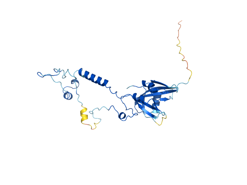 AlphaFold predicted structure of MRPL17